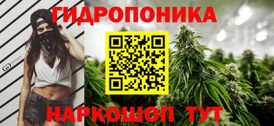 таблы Гусев