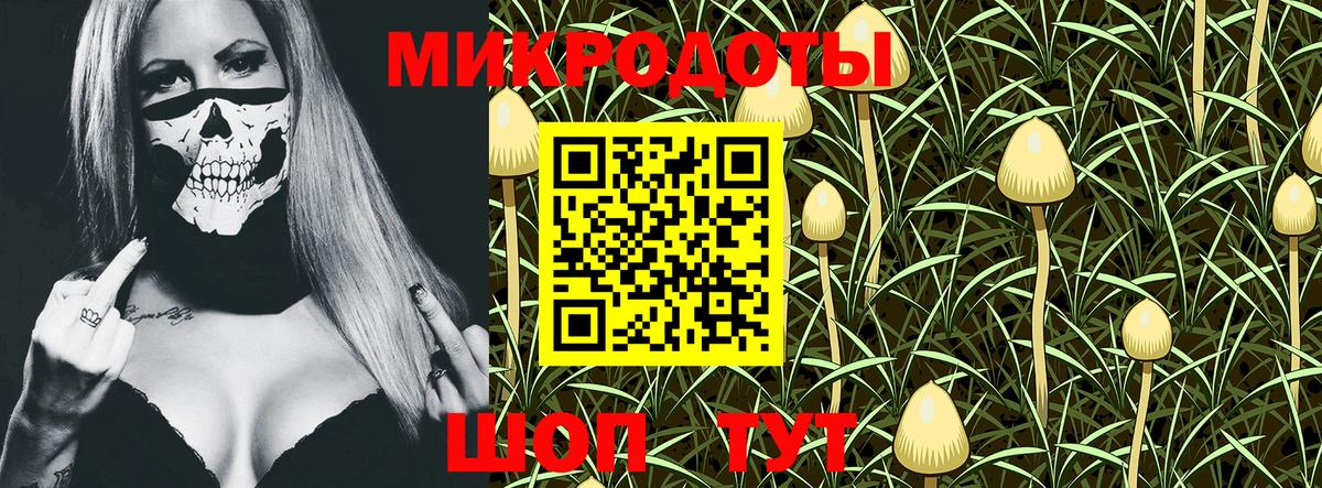 Псилоцибиновые грибы ЛСД Волхов