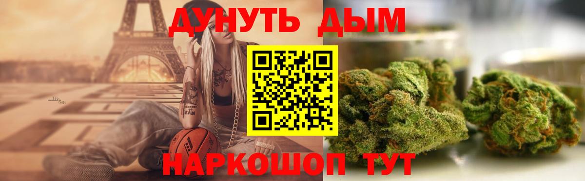 Бошки марихуана конопля Волхов